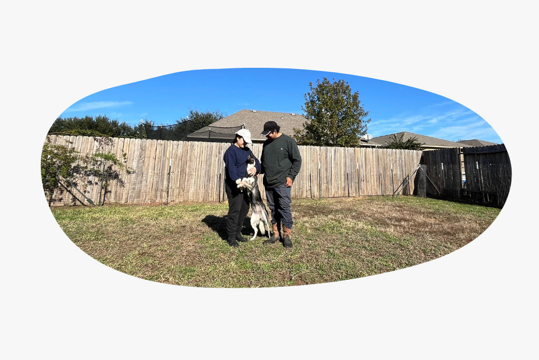 Reliable, safe, and professional pet waste removal services in Houston, Tx